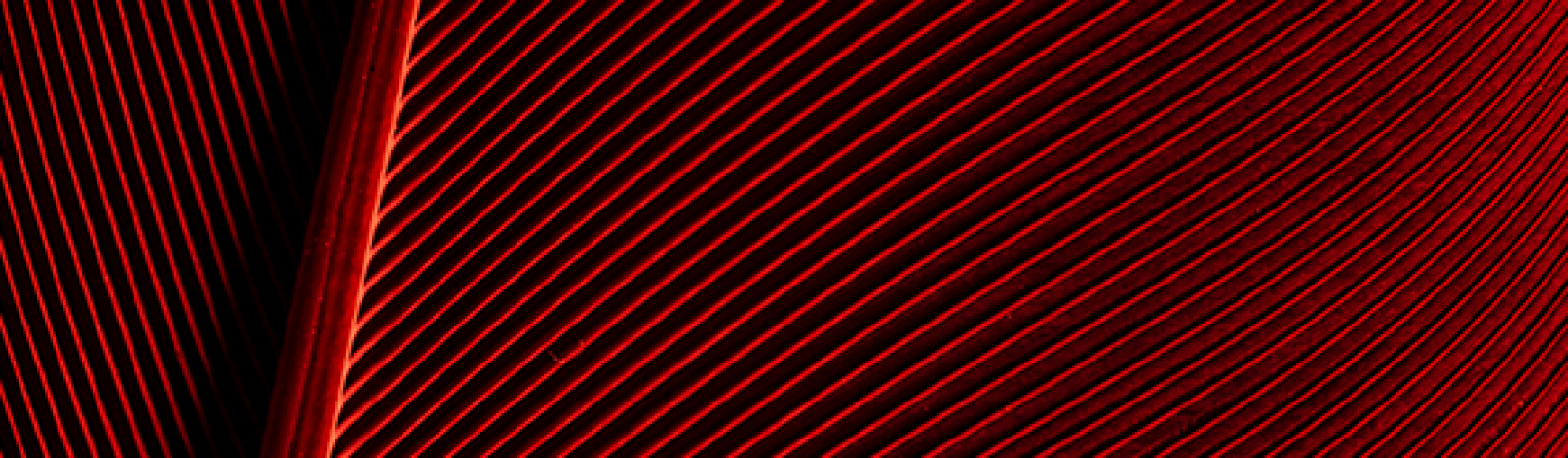 img_site_01_monografias_escritos